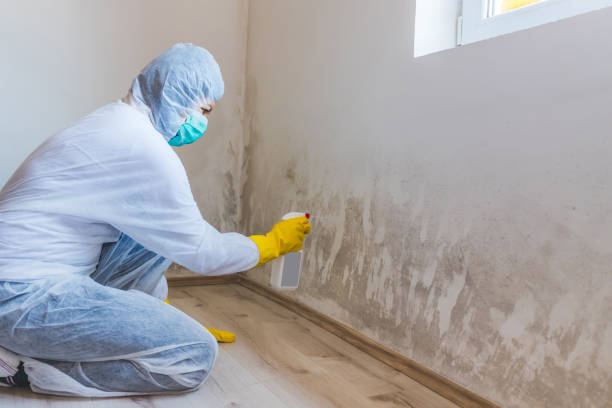 Mold Remediation specialist working in Bowie